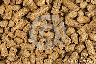 Brown wood pellets texture background. natural pile of wood pellets. organic biofuels. Alternative biofuel from sawdust. The cat Stock Photo