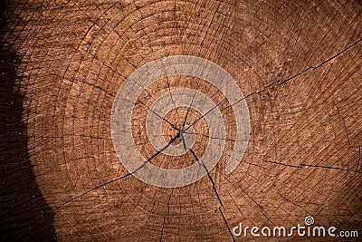 Brown Wooden Background Stock Photo