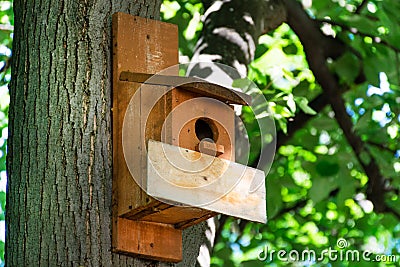 Nature's Haven: Brown Wooden Birdhouse Providing Shelter in the Forest Park Stock Photo