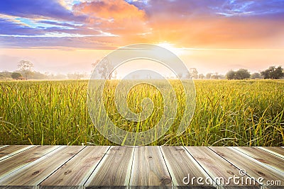 Brown wooden table board empty on Beautiful Organic paddy-field Stock Photo