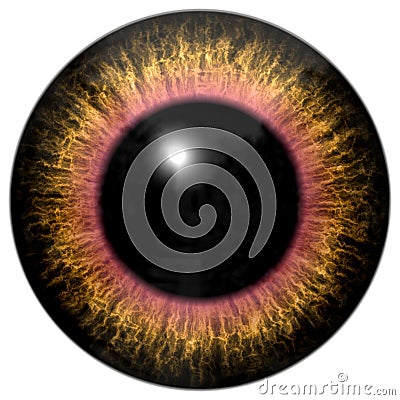 Brown yellow animal eye texture Stock Photo