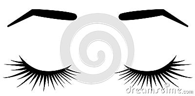 Brows and lashes. Vector illustration of lashes and brows. For beauty salon, lash extensions maker, brow master. Vector Illustration