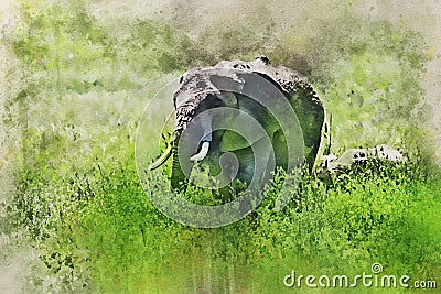 Watercolor painting of African elephants or Loxodonta cyclotis in nature Stock Photo