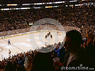 Bruins crowd celebrates ice hockey goal Editorial Stock Photo