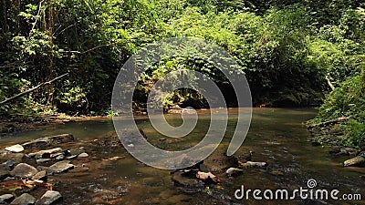 Regenwaldwasserfall Des Dschungels 4k Auf Einer Tropischen Bali Insel Indonesien Grune Szene Im Regenwald Stock Video Video Von Regenwald Indonesien