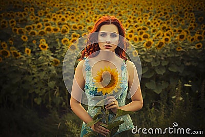 Brunette caucasian woman in blue dress at the park in flowers on a summer sunset holding sunflowers Stock Photo