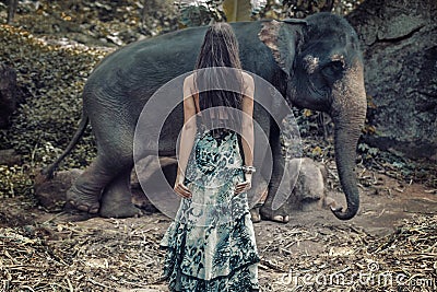 Brunette woman staring at the wild elephant Stock Photo