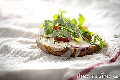 Bruschetta with radish, ruccola and cheese spread Stock Photo