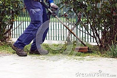 Brush cutting Stock Photo