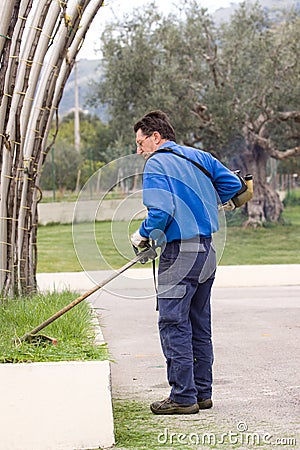 Brush cutting Stock Photo