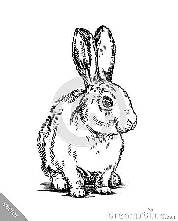 Brush painting ink draw isolated rabbit illustration Vector Illustration