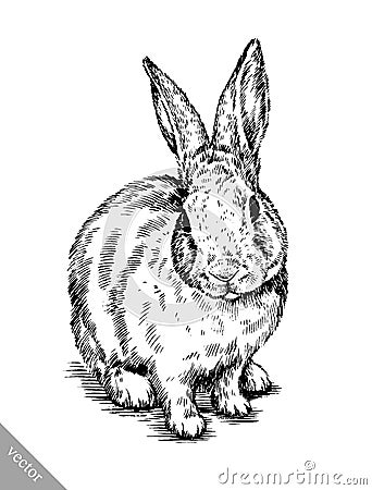 Brush painting ink draw isolated rabbit illustration Vector Illustration