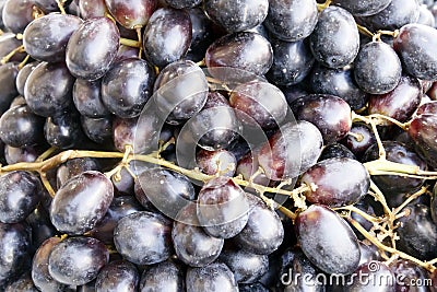 Brushes of ripe black grapes Stock Photo