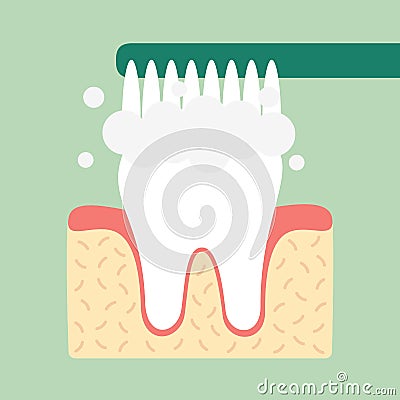 Brushing teeth Vector Illustration