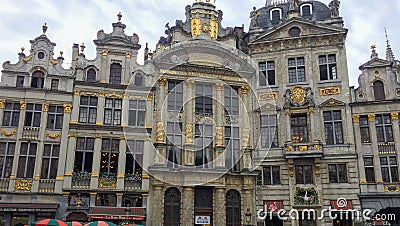 Maison des brasseurs building means house of beer brewers in Grand Place of Brussels capital of Editorial Stock Photo