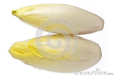 Brussels Chicory isolated over white Stock Photo