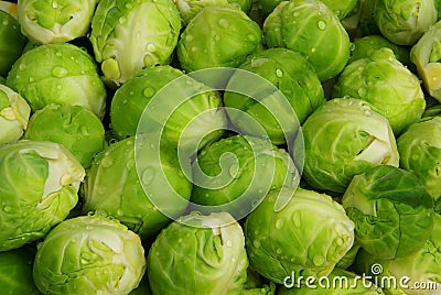 Brussels sprout Stock Photo