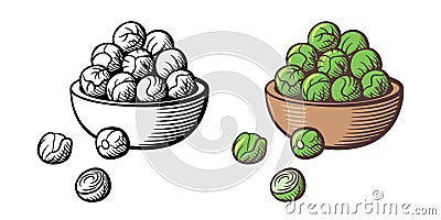 Brussels sprouts Vector Illustration