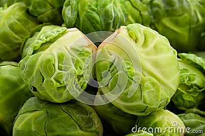 Brussels sprouts Stock Photo