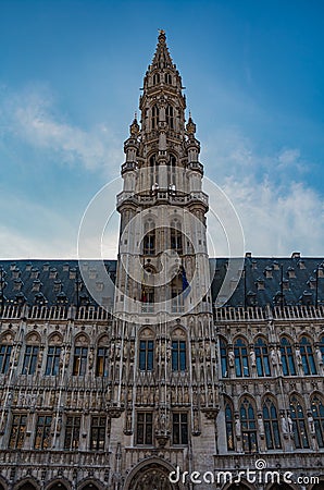 Brussels Town Hall IV Stock Photo