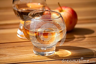 Brut apple cider from Betuwe, Gelderland, in glass, apple cider production in Netherlands Stock Photo