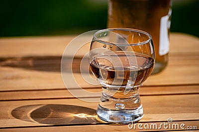 Brut apple cider from Betuwe, Gelderland, in glass, apple cider production in Netherlands Stock Photo