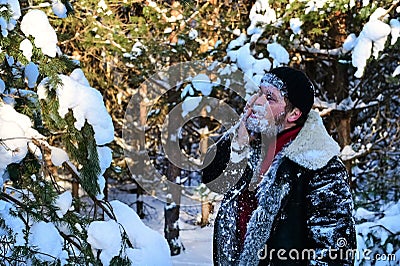 brutal man with beard in warm sheepskin coat washes his face with snow in forest. Stock Photo