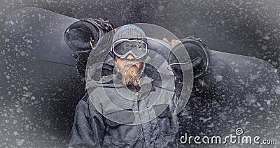 Brutal redhead snowboarder with a full beard in a winter hat and protective glasses dressed in a snowboarding coat Stock Photo