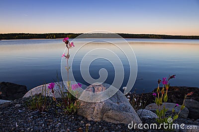 Brutality and beauty of Karelian nature Stock Photo