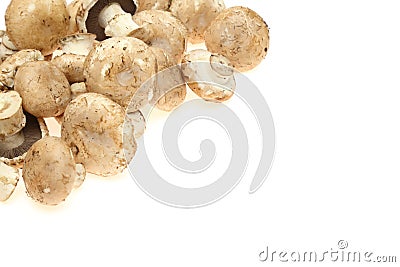 Brwon mushrooms Stock Photo