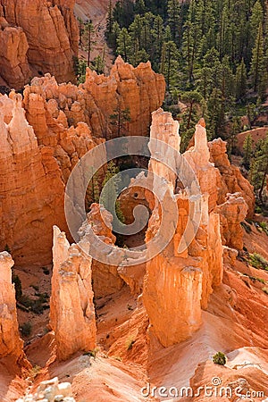 Bryce Canyon Hoodoos Stock Photo