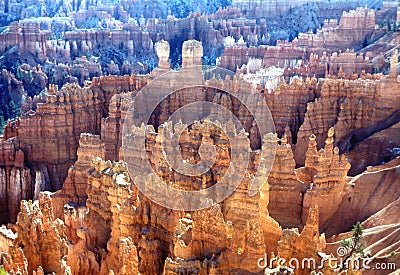 Bryce canyon hoodoos Stock Photo