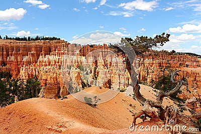Bryce Canyon National Park is a United States National Park in Utah`s Canyon Country. Stock Photo