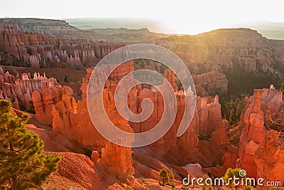 Bryce Canyon - Panoramic morning sunrise view on sandstone rock formation of Thor hammer in Bryce Canyon National Park, Utah, Stock Photo