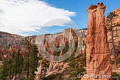 Bryce Canyon - Scenic view of hoodoo sandstone rock formation towers on Queens Garden trail in Bryce Canyon National Park, Utah Stock Photo