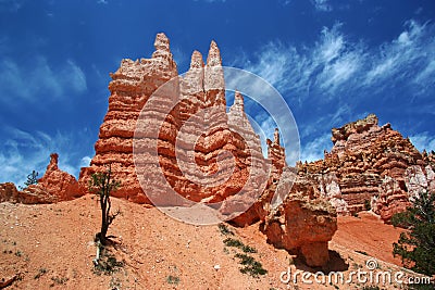 Bryce Hoodoos Stock Photo