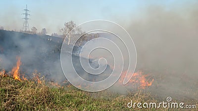 Bränningsfält Bränn gammalt torrt gräs förra året Torrgräs i låga och rök vid bränning av skogsbrand under torr säsong stock video Bränningsfält Bränn gammalt torrt gräs förra året Torrgräs i låga och rök vid bränning av skogsbrand under torr säsong stock video