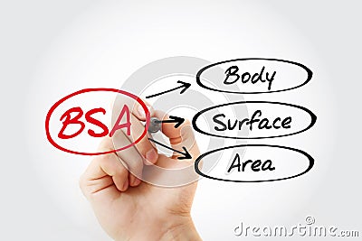 BSA - Body Surface Area acronym Stock Photo
