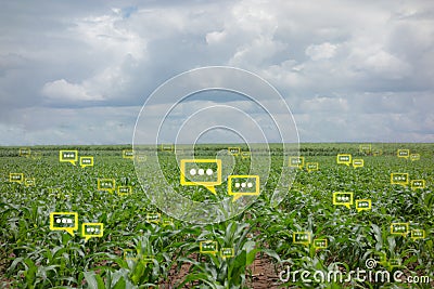 He bubble chat data the detect by futuristic technology in smart agriculture Stock Photo