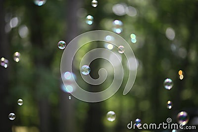 Bubble Forest - Abstract Dreams of Peace Purity and Tranquility Stock Photo