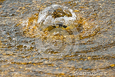 Bubbling golden water - spa concept Stock Photo