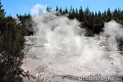 Bubbling mud pool Stock Photo