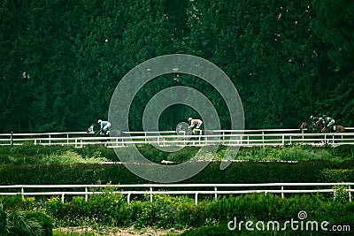 While horses race at the hippodrome Editorial Stock Photo