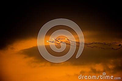 Bucharest international air show BIAS, air glider duo aerobatic team silhouette Stock Photo