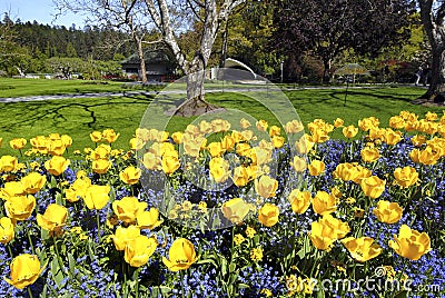 Buchart garden Stock Photo