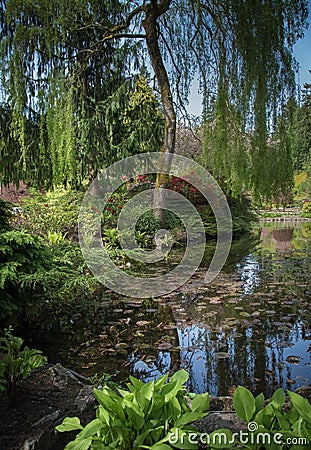 Buchart Gardens Magical Trees and Flowers Stock Photo