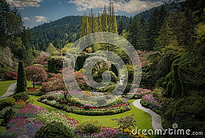 Buchart Gardens Mystical Spring Flowers Stock Photo