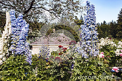 Buchart Gardens on Vancouver Island Stock Photo