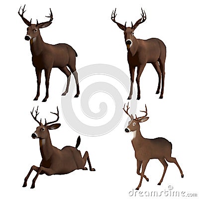 Buck Stock Photo