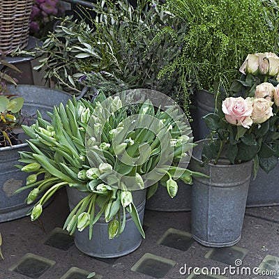 The bucket with a bouquet of white tulips and a vase with red roses as a decoration for the entrance of the house Stock Photo